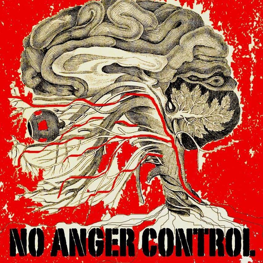 No Anger Control Logo